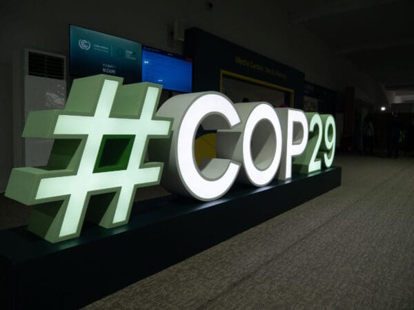 COP 29: ‘Extremely hurt’