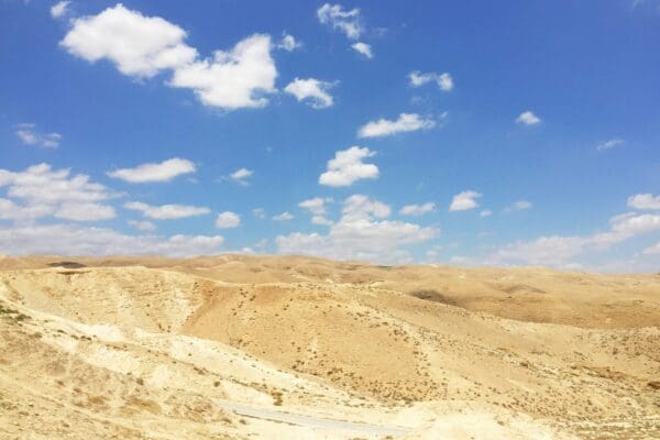 Recensie: ‘No Other Land’