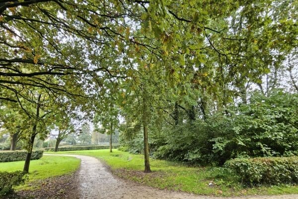Save the date: za. 5 okt. Eerste Haagse, groene inspiratiepad