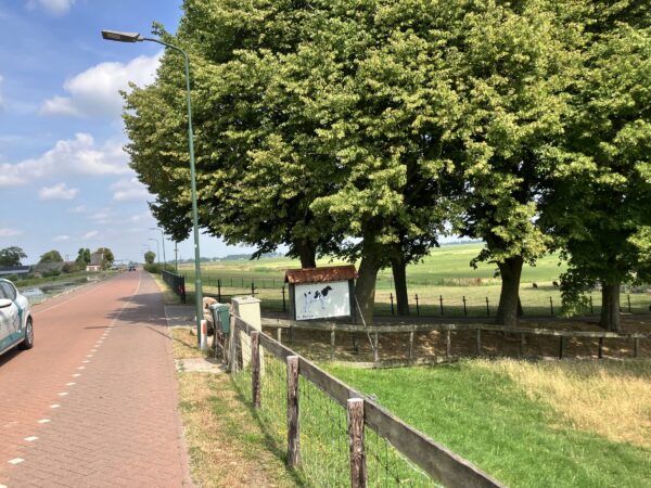 Buitenviering op startzondag met kinderdienst